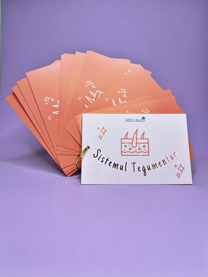 Flashcards Barron's TEGUMENTAR